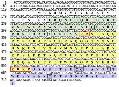 CRISPR/Cas9-mediated mutation on an insulin-like peptide encoding gene affects the growth of the ridgetail white prawn Exopalaemon carinicauda